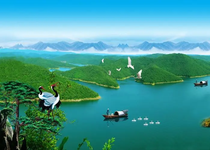 创新网络化